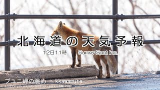 2024/12/12 北海道地方の天気予報 昼