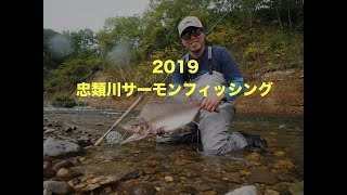 2019忠類川サーモンフィッシング