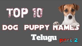 Top 10 India Dog Names in 2020 ||Rottweiler Dog Training Telugu