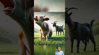 किसान गाय के साथ बहुत गलत करता हैं ~mind blowing creator~#shortsvideo #shorts #goat🥺😭👈