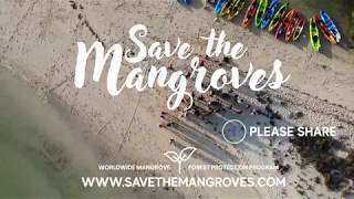 Save the mangroves Crowdfunding Campaign