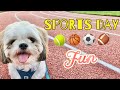 Sports Day with Chase the Shih Tzu | Summer Activities