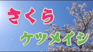 さくら／ケツメイシ【歌詞付き】Japan Sakura Cherry Blossom