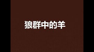 【万邦雅歌】 每日默想—马太福音10:16~17 我们像羊进入狼群