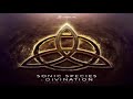 SONIC SPECIES & DIVINATION - Liquid Connective (Original Mix)