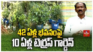 42 ఏళ్ల భవనంపై 10 ఏళ్ల టెర్రస్ గార్డెన్‌ | Terrace Garden | Nela Talli | hmtv Agri