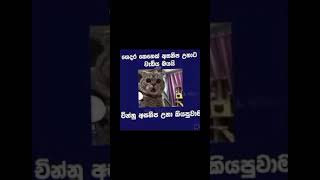 ගෙදර එකෙක් ලෙඩ උනාට වඩා බයයි චීන්නු ලෙඩ උනාම #trending #viralshort මට 1k යන්න සප් එකක් දෙන්න