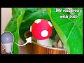 Mushroom making with bulb/ DIY mushroom with bulb