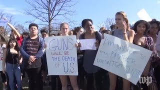 Students march in D.C. to protest gun violence