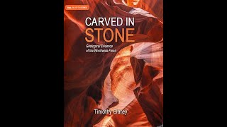 Carved in Stone by TImothy Clarey - A Book Review