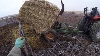 Putting a Fodder Stack in for the Cows