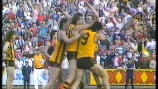 1987 VFL Preliminary Final - Hawthorn vs Melbourne