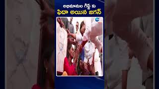 CM Jagan | అభిమానుల గిఫ్ట్ కు ఫిదా అయిన జగన్  | ZEE Telugu News