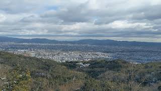 桂坂野鳥遊園 東ベンチ