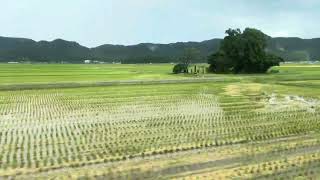 2023.10.05 羽越本線　特急いなほ　羽前水沢〜羽前大山