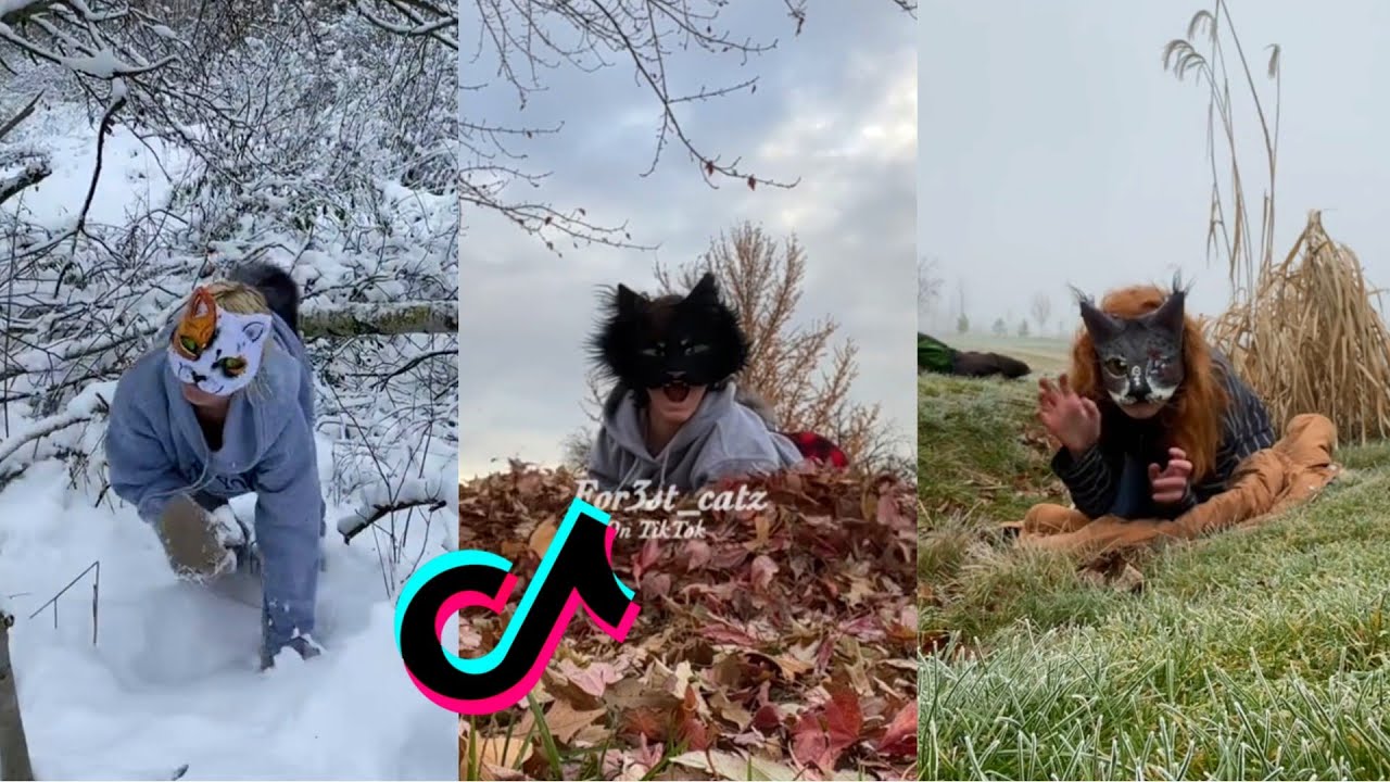Therian Tiktok Compilation 19 Youtube