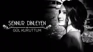 Şennur Dinleyen- Bir Fırtına Tuttu Bizi