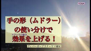 【1分インドのヨガ話(41)】手の形（ムドラー）を使う事でヴィバーガープラナーヤマでのプラーナの動きの効果が上がる！（訂正有り）