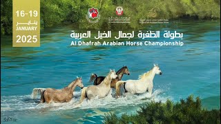 Al Dhafrah Arabian Horse Championship - بطولة الظفرة لجمال الخيل العربية