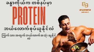 How Much Protein Can Be Absorbed In One Meal ? ( တစ်နပ်မှာပရိုတင်း အသားဓာတ် ဘယ်လောက်စုပ်ယူနိုင်လဲ )