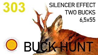 Longrange blog 303: Bucks, hedges and silencers.