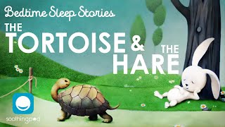 Bedtime Sleep Stories | 🐢 The Tortoise and the Hare 🐰| Sleep Story for Grown Ups and Kids | Aesop