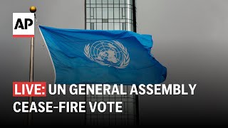 UN General Assembly LIVE: Vote on Gaza cease-fire resolution