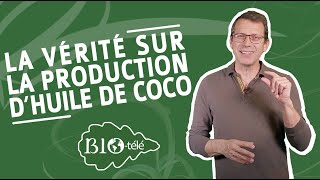 ALTERNATIVE ÉCOLOGIQUE À L'HUILE DE PALME : LA VÉRITÉ SUR LA PRODUCTION D’HUILE DE COCO