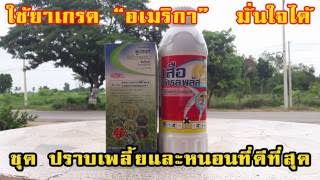 พรีวาธอน-ดูปองค์(คลอแรนทรานิลิโพรล - Chlorantraniliprole),เสือเทรลพลัส,เพลนั่ม,อามูเร่