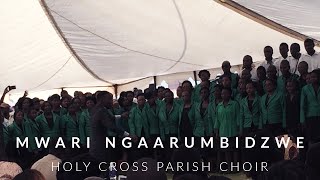 Mwari ngaarumbidzwe - Holy Cross Budiriro Parish