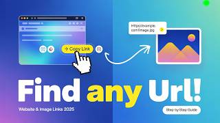 How to Find the URL (Beginner Guide)