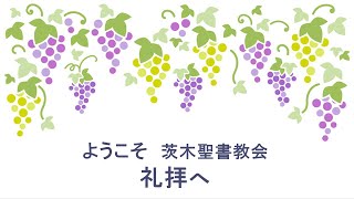 2022年9月18日敬老の日感謝礼拝 「年老いても」詩篇92篇12～15節 ハレファ・スルヤ師