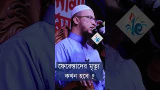 ফেরেস্তাদের মৃত্যু কখন হবে ? শায়েখ আহমাদুল্লাহ