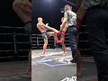 Australian Fighter Chops Down Vietnamese  #muaythai