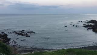 鹿児島県日置市 江口浜海浜公園　マグロちゃん撮影動画