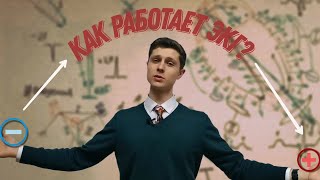 Как работает ЭКГ? (подробно).