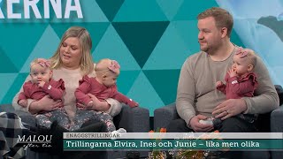 Ovanliga bebischocken: Per och Marielle fick enäggstrillingar  | Malou Efter tio | TV4 & TV4 Play