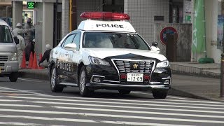 【警察】【パトカー】【神奈川県警】【神奈川県　秦野市】【秦野駅前】【失敗作】