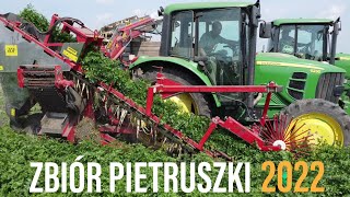 Zbiór pietruszki 2022🔥John Deere,Weremczuk✯GR Rewers✯