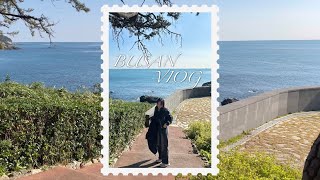 vlog. 빵빵이 보러 부산 가다 ! 부산 여행 브이로그 | 빵빵이와 옥지의 만물상 IN 부산 | 해운대해수욕장, 서면, 방어 맛집, 밀면 맛집 | 빵빵이 언박싱 브이로그