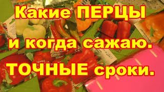 Ранние посевы супер ранний урожай,но не все перцы подойдут!!!