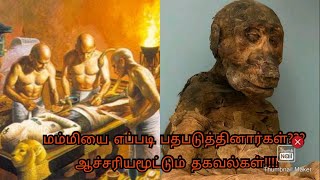 Mummification process in tamil |மம்மியை பதப்படுத்தும் முறை