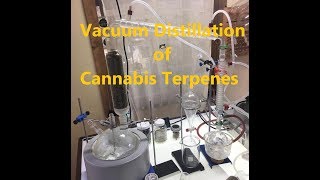 Vacuum Distillation of Cannabis Terpenes