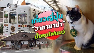 เที่ยวญี่ปุ่น - รถไฟแมว - สถานีคิชิ