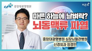 뇌동맥류 파열? 뇌혈관이 부풀어 오르는 이유? 뇌혈관질환 치료방법 알려드립니다 #뇌동맥류 #뇌혈관 #뇌혈관질환 [중앙대 광명병원 신경외과 장경민]