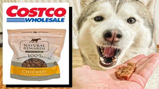 コストコ新商品の犬用おやつをシベリアンハスキーが実食！【商品レビュー】