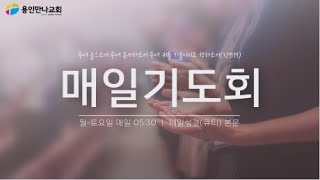 용인만나교회 매일기도회 | 25.01.21 | 요단 동편 땅의 분배