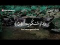 soothing u0026 soulful quran recitation surah al mulk al waqiah ar rahman yaseen lofi quran for healing