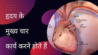 क्या आप जानते है, हृदय के कितने मूल कार्य करने होते है ?