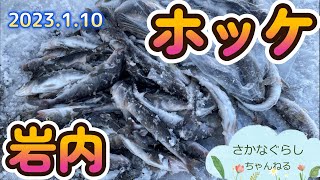 岩内でホッケ釣り！ホッケフライで食べたら激ウマ！